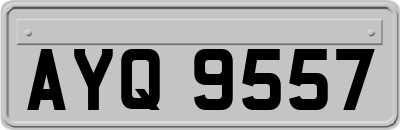 AYQ9557