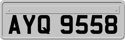 AYQ9558