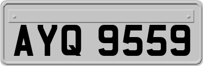 AYQ9559