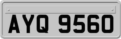 AYQ9560
