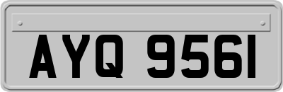 AYQ9561