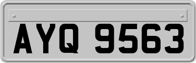 AYQ9563