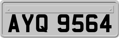 AYQ9564