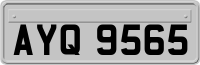 AYQ9565