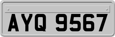 AYQ9567