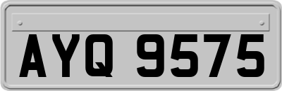 AYQ9575