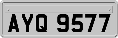 AYQ9577