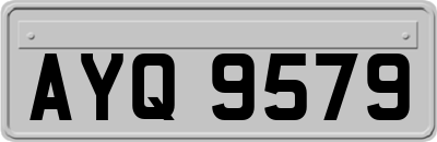 AYQ9579