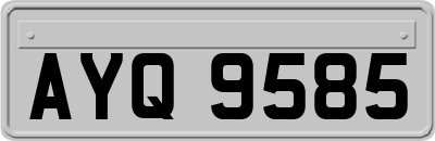 AYQ9585