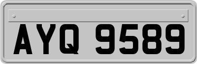 AYQ9589