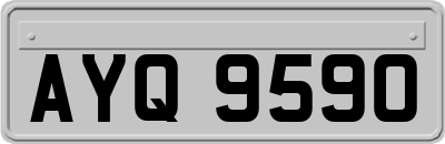 AYQ9590