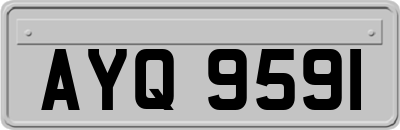 AYQ9591