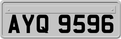 AYQ9596