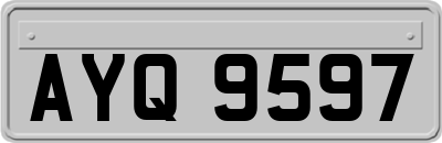 AYQ9597