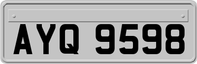 AYQ9598