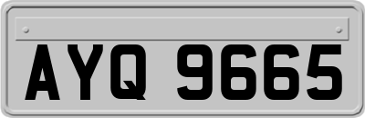 AYQ9665