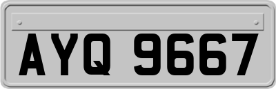 AYQ9667