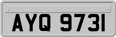 AYQ9731