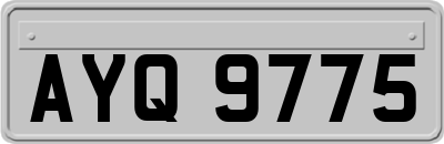 AYQ9775