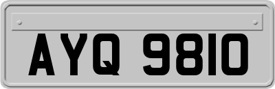 AYQ9810