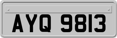 AYQ9813
