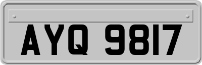 AYQ9817