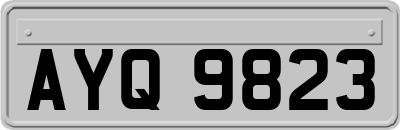AYQ9823