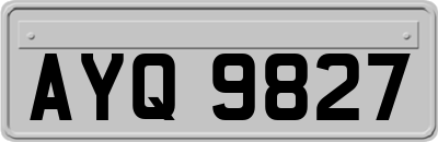 AYQ9827
