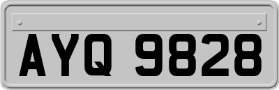 AYQ9828