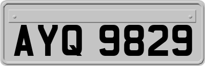 AYQ9829
