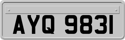 AYQ9831