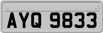 AYQ9833
