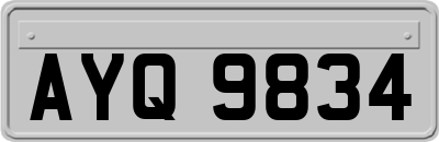 AYQ9834