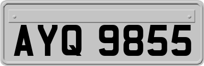 AYQ9855