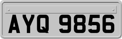 AYQ9856