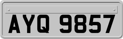 AYQ9857