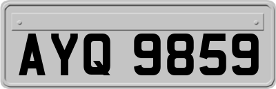 AYQ9859