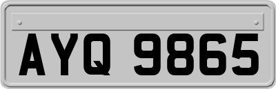 AYQ9865