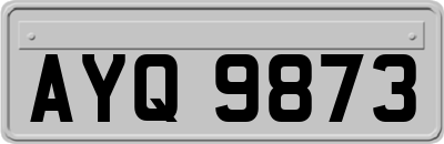 AYQ9873
