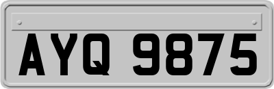AYQ9875