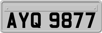 AYQ9877