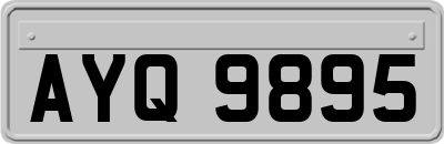 AYQ9895