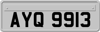 AYQ9913