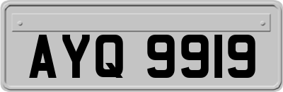 AYQ9919