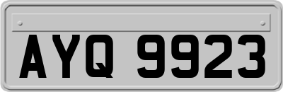 AYQ9923