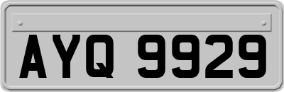 AYQ9929