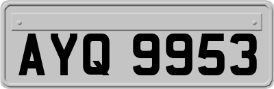 AYQ9953