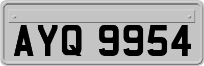 AYQ9954