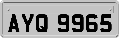 AYQ9965