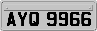 AYQ9966
